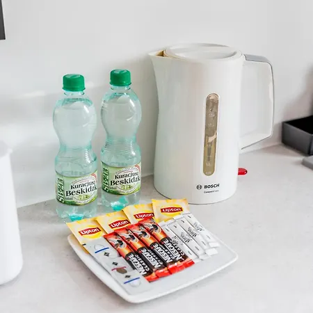 Wilson Park Serene By Bookinghost 公寓 波兹南