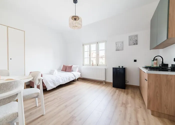 Wilson Park Serene By Bookinghost Апартаменты Познань