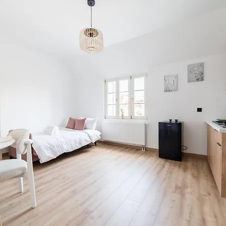 Wilson Park Serene By Bookinghost Appartement Poznań